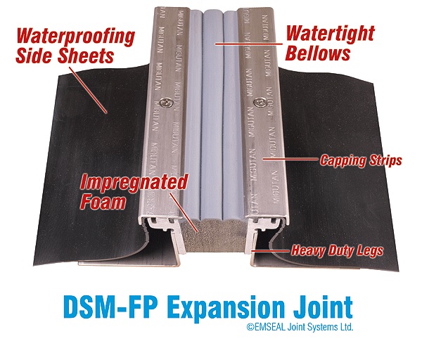 DSM FP - EMSEAL