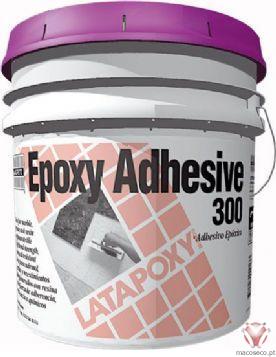 LATAPOXY 300