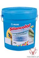 SILANCOLOR TONACHINO PLUS - Mapei